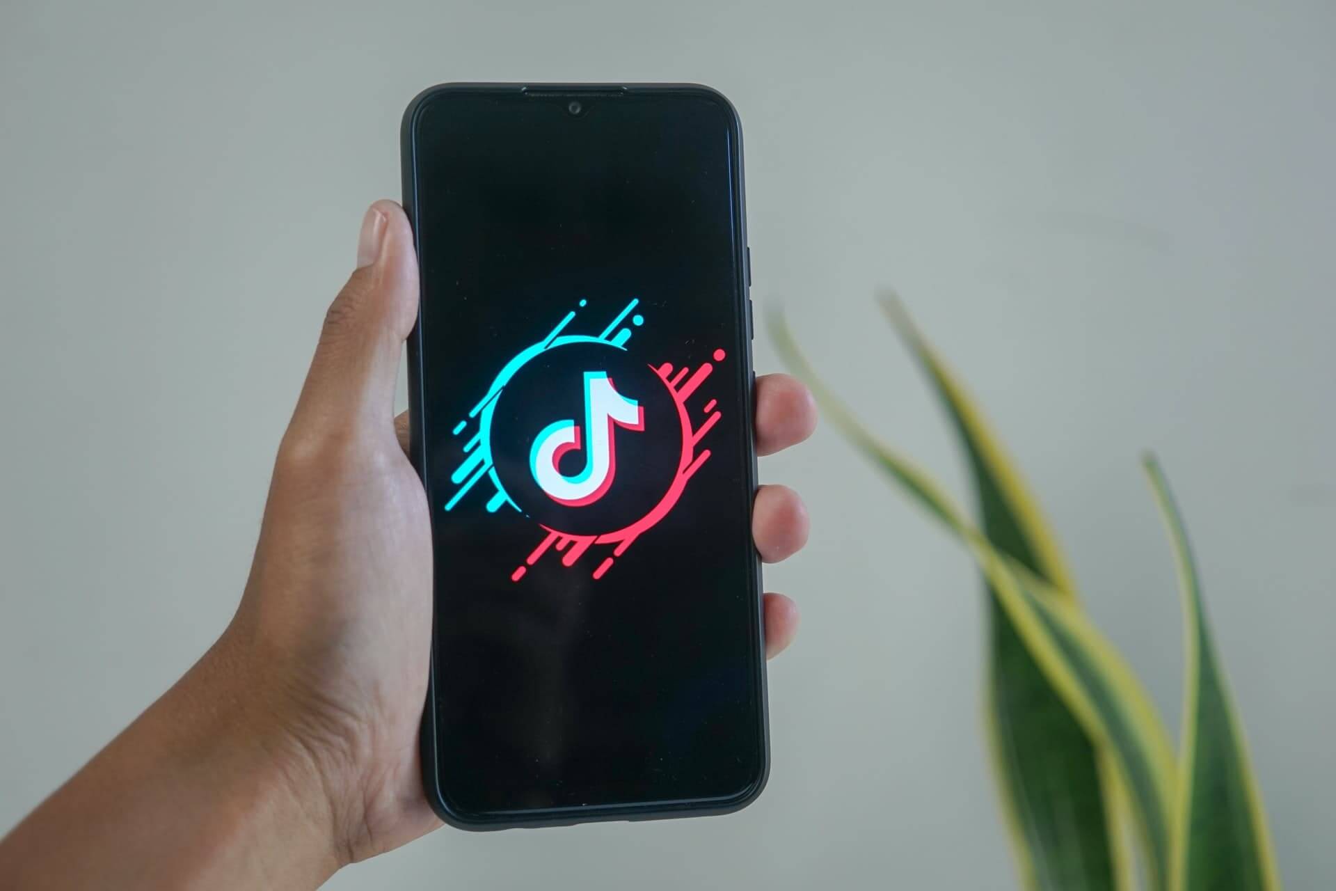 TikTok app on a phone